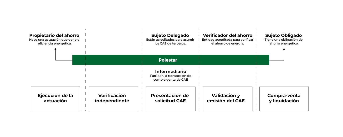 Proceso y participantes
