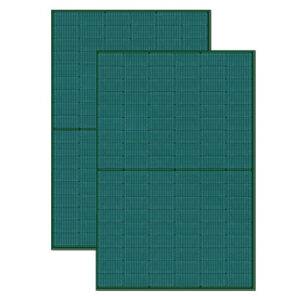Panel Green Bifacial