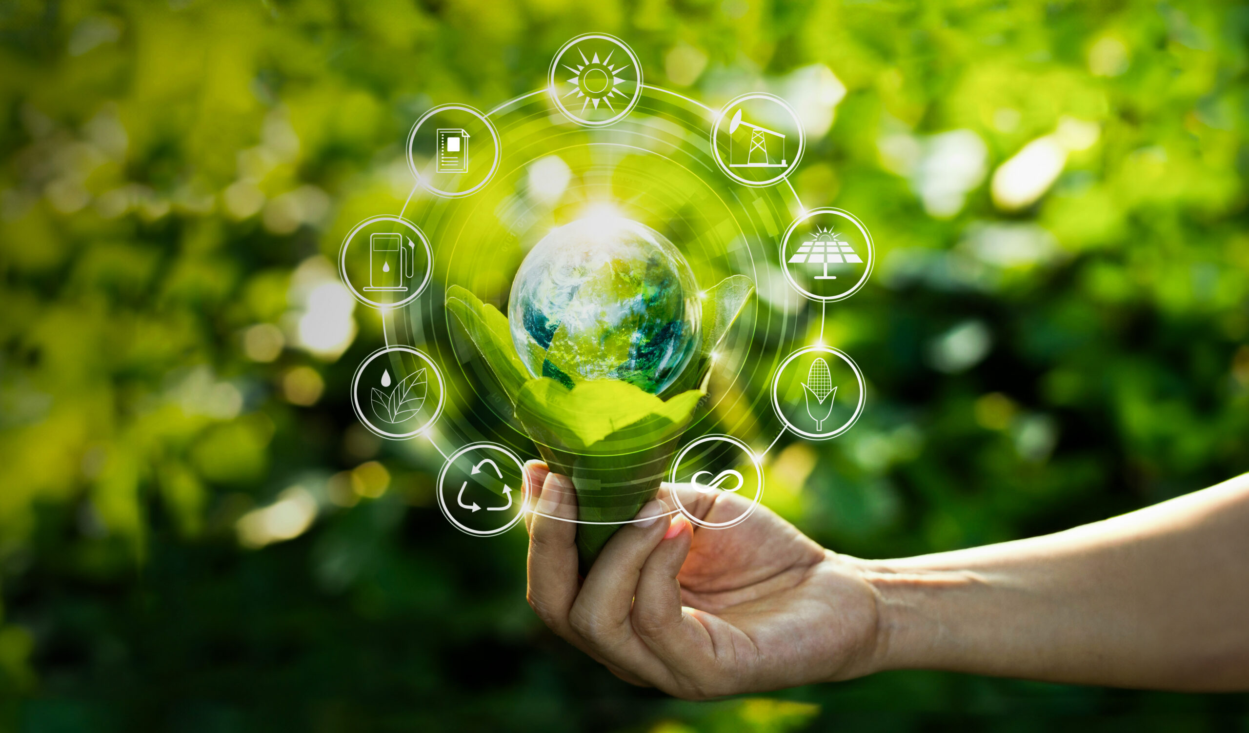 Vision Polestar Energy